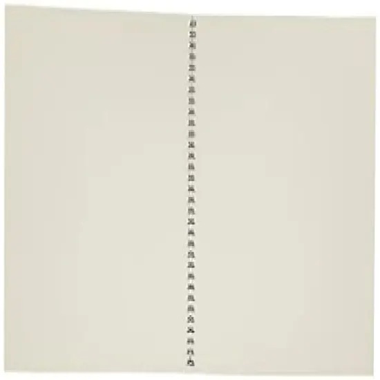 Medium Drawing Spiral Paper Pad 11"X14"-24 Sheets -400500 {6}
