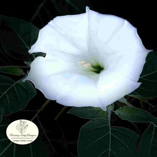 Night Flower Moon Glow - Art paper for Decoupage and Mixed Media by Painting Lady Designs {1}