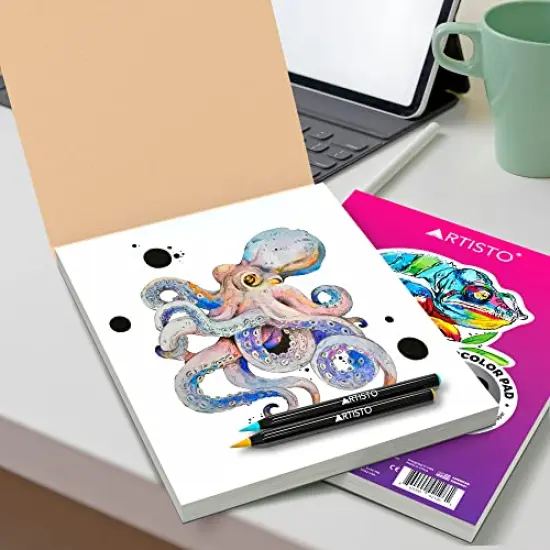 Watercolor Pads 9x12”, Pack of 2 (60 Sheets), Glue Bound, Acid-Free Paper, 140lb (300gsm), Perfect for Most Wet & Dry Media, Ideal for Beginners, Artists & Professionals {5}