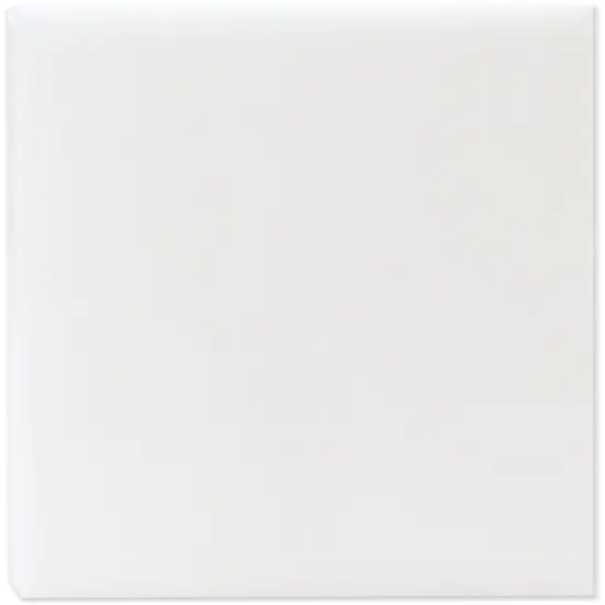 FloraCraft CraftFoM Block-1"x11.9"x17.9" {2}