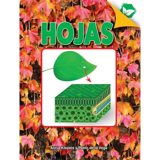Hojas Book, Hardcover {1}