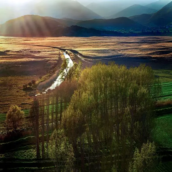 Poems in the Sun Poster Print by Dora Artemiadi # A643D {1}