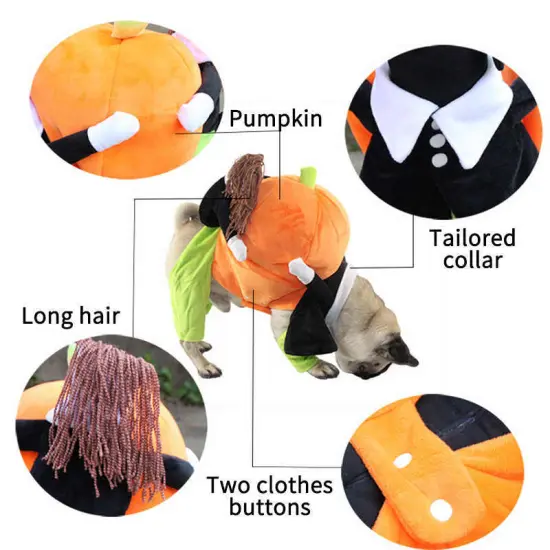 Pumpkin Mon - Halloween Pet Dog Costume {3}