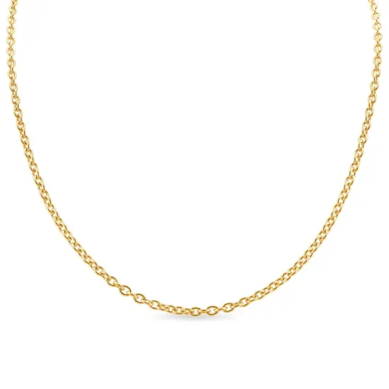 10 Pack - Gold 13+2" Stainless Steel Loop Chain Necklace {2}