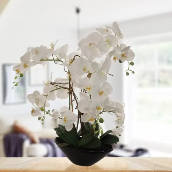 Chic 25" Phalaenopsis Orchid in Black Pot - Artificial Flower Arrangement for Sophisticated Home & Office D&eacute;cor - Realistic & Low-Maintenance, Floral Home by Artificial Flowers {2}