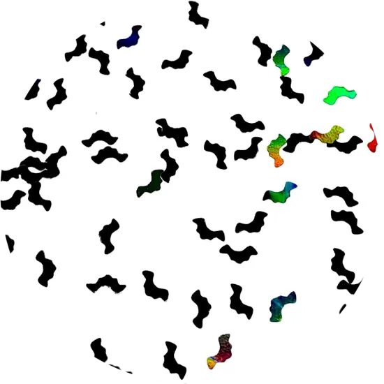 Polyester Glitter - Bats Glitter Shapes by Glitter Heart Co.&trade; {1}