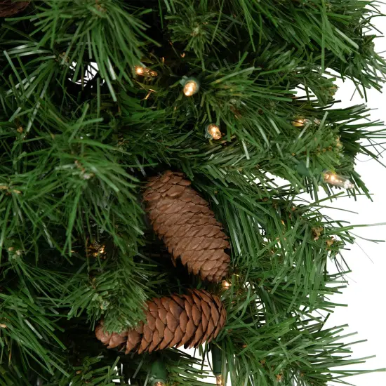 Northlight Pre-Lit Dakota Red Pine Artificial Christmas Teardrop Swag - 30" - Clear AlwaysLit Lights Green {7}