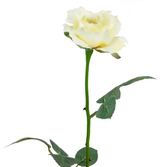 Allstate 22" Long Stem Blooming Vanilla Rose Artificial Floral Silk Pick Ivory {5}