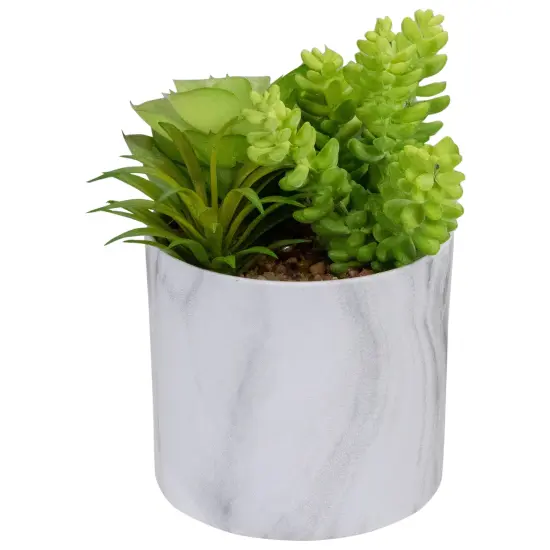 Northlight 6.5" Green Artificial Succulent Arrangement in Faux Marble Pot {4}