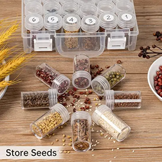 30 Slots Diamond Painting Storage Containers, Bead Organizer Box, Bead Storage Containers Plastic Diamond Painting Art Accessories Boxes Small Clear Embroidery Box for Craft Beads Rhinestones (1 Pack) {6}