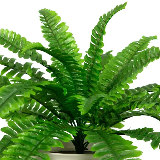 Northlight Boston Fern Artificial Potted Plant - 24" Green {6}