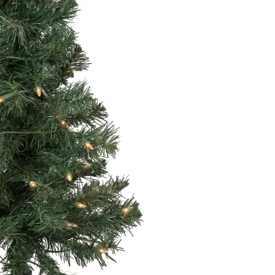 Northlight Pre-Lit Medium Blackwater Fir Artificial Christmas Tree - 3' - Clear Lights Green {5}