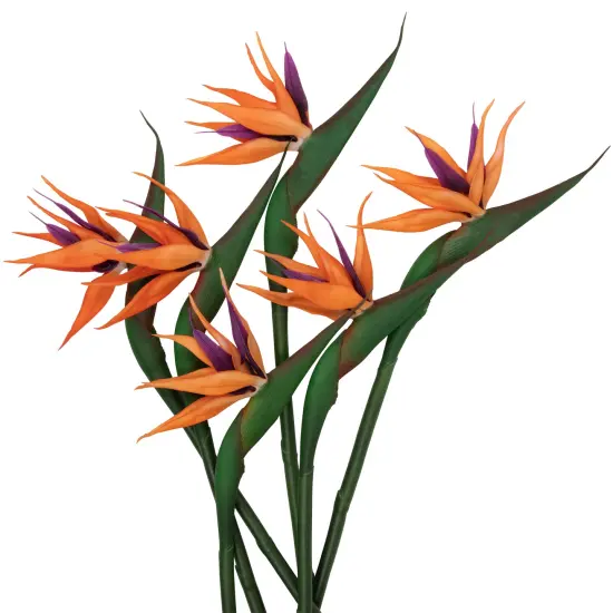 Northlight Real Touch&trade; Bird of Paradise Artificial Sprays - 33" - Set of 6 Orange {6}