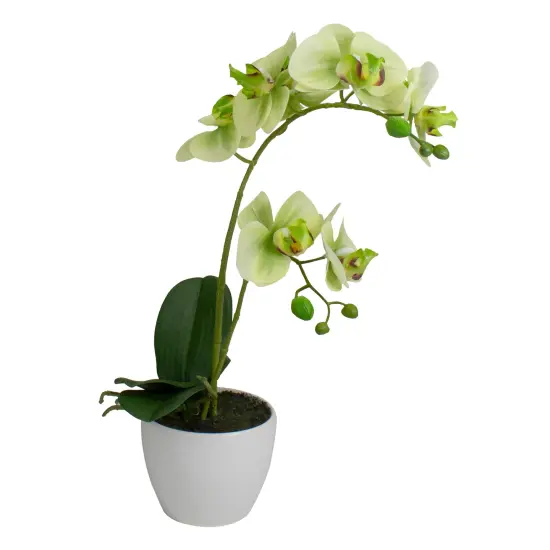 Northlight Real Touch&trade;️ Artificial Orchid Potted Plant - 14" - White and Green {4}