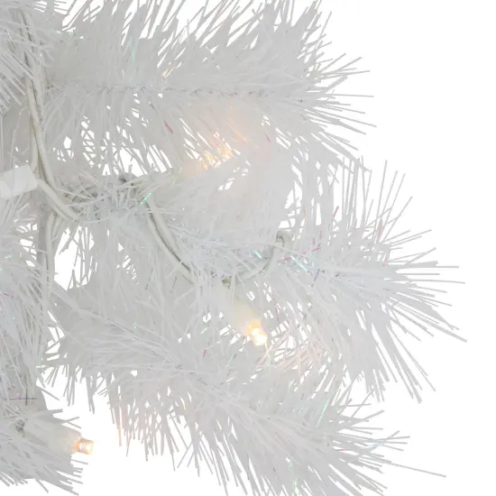 Northlight Pre-Lit White Alaskan Pine Artificial Christmas Wreath - 24" - Warm White LED Lights {4}