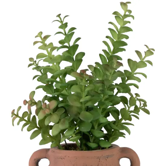 Northlight Real Touch&trade; Artificial Privet Plant in Vintage Milk Can Style Earthenware Pot - 14" Green {5}