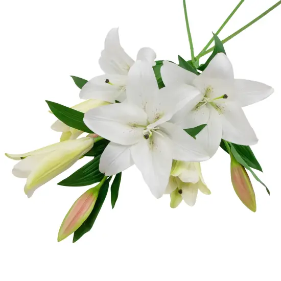 Northlight Real Touch&trade; Artificial Casa Blanca Lily Sprays - 38" - White - Set of 6 {6}