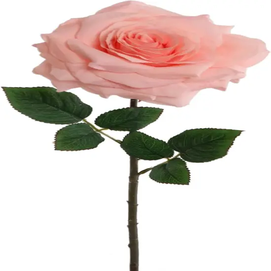 12-Pack: Open Rose Stem with Lifelike Silk Foliage, Floral Home by Artificial Flowers Pink {1}