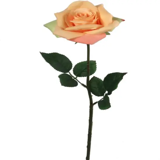 20-Inch Premium Open Rose Stems - Set of 24 with Lifelike Silk Leaves, Realistic Artificial Roses for Bouquets, Floral Arrangements, Wedding & Event Decor, Home & Office Accents, Floral Home by Artificial Flowers Red {2}