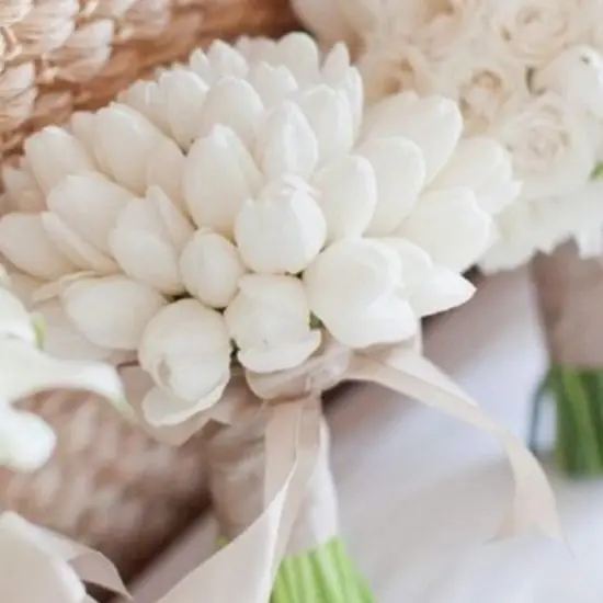 24 Pcs Real Touch Artificial Tulips for All Occasions White {2}
