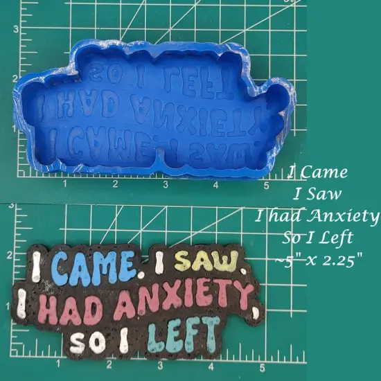 I came, I saw, I had anxiety, so I left Silicone Freshie Mold {1}