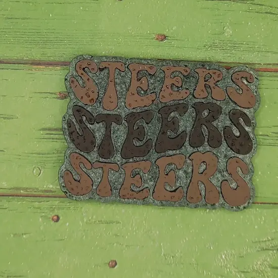 Steers Steers Steers Retro Font Silicone Freshie Mold {2}