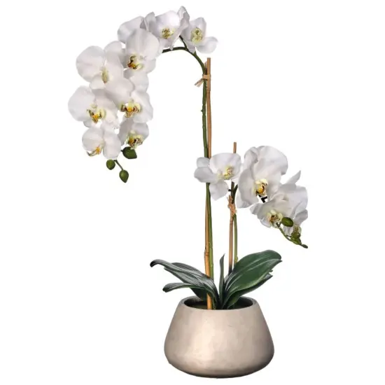 Real Touch Phalaenopsis Orchid in Cement Pot 24" Pink {2}