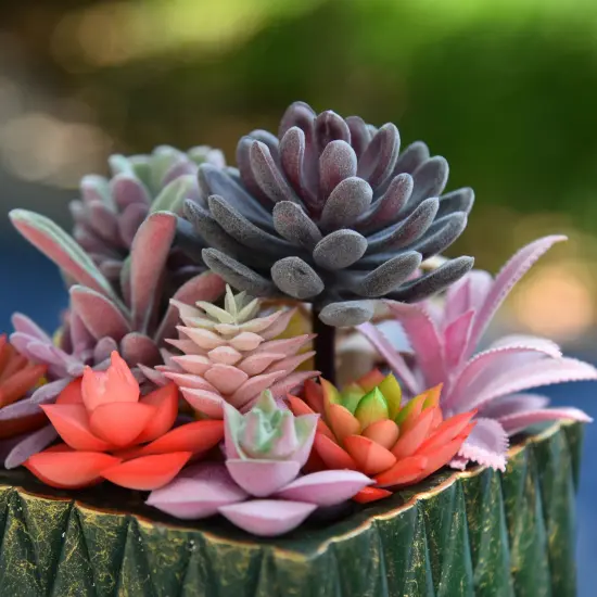 15 Pack Bulk Large Assorted Realistic Artificial Faux Succulents Aloe Plants Realistic Fake Succulent Plants, Largest Set of Succulents {5}