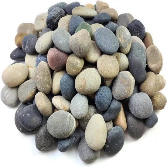 20 Lb Natural Unpolished Bulk Rocks Mexican Beach Pebbles, 2-3 Inch Decorative River Rocks for Landscaping Garden Paving Plant Rocks Crafting Walkways and Outdoor Decorative Stone {1}