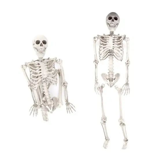 5.6Ft Halloween Skeleton Full Life Size Human Skull Holiday Tricky Haunted Props {2}