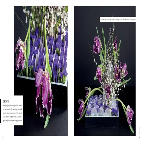 Perishable Poetics {3}