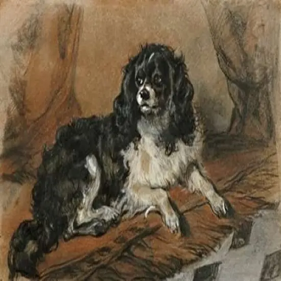 A King Charles Spaniel Poster Print bySir Edwin Landseer - Item # VARPDX266720 {2}