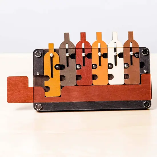 Project Genius Waiter's Tray Sliding Puzzle Game {4}