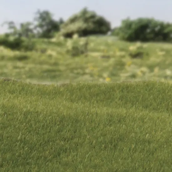 Woodland Scenics Static Grass 2mm-Dark Green {2}