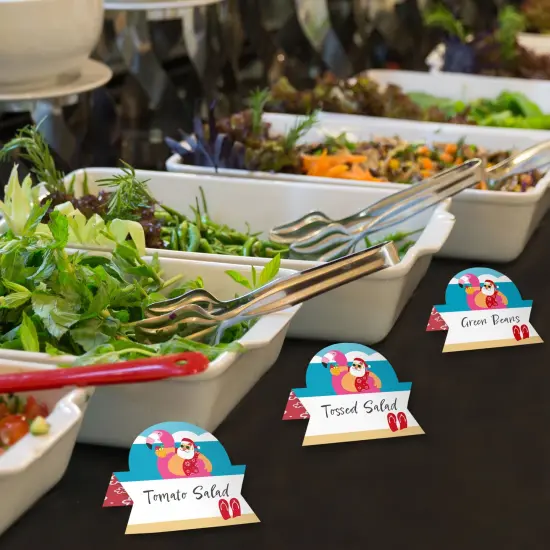 Big Dot of Happiness Tropical Christmas - Beach Santa Holiday Party Tent Buffet Card - Table Setting Name Place Cards - Set of 24 {4}