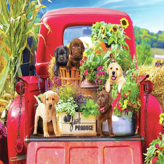 Kodak Premium Jigsaw Puzzle 1000 Pieces 20"X27"-Stowaways {3}