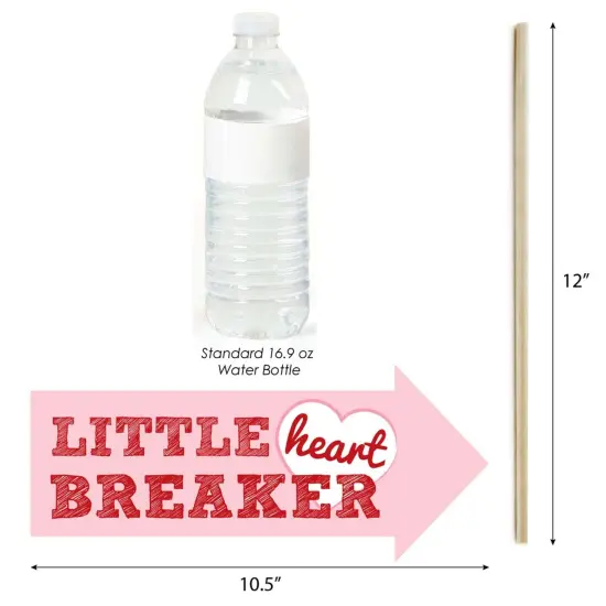 Big Dot of Happiness Funny Valentine's Day - Valentine's Day Photo Booth Props Kit - 10 Piece {6}