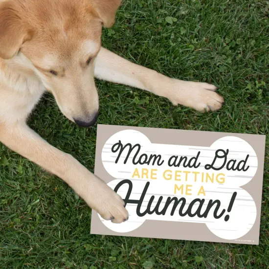Big Dot of Happiness We Are Adopting - Photo Prop Signs - Adoption Announcements - 10 Pieces {7}