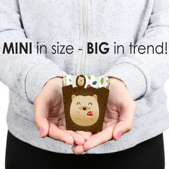 Big Dot of Happiness Forest Hedgehogs - Party Mini Favor Boxes - Woodland Birthday Party or Baby Shower Treat Candy Boxes - Set of 12 {6}