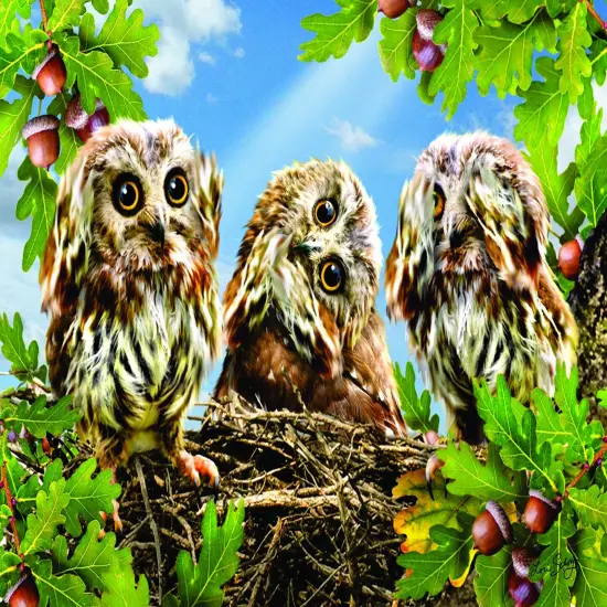 Sunsout Hear No Speak No See No 300 pc Jigsaw Puzzle 34992 {1}