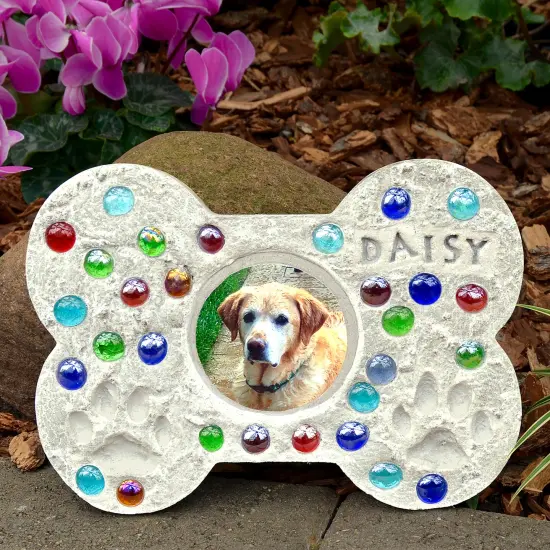 Multipack of 6 - Mosaic Stepping Stone Kit-Pet Photo {3}