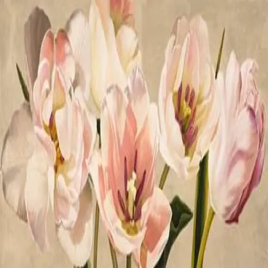 White Flowers Poster Print by Luca Villa - Item # VARPDX4LC2404 {1}