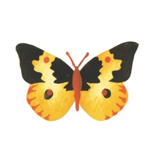 Southern Dogface Butterfly Wall Stencil | 2685 by Designer Stencils | Animal & Nature Stencils | Reusable Art Craft Stencils for Painting on Walls, Canvas, Wood | Reusable Plastic Paint Stencil for Home Makeover | Easy to Use & Clean Art Stencil {1}