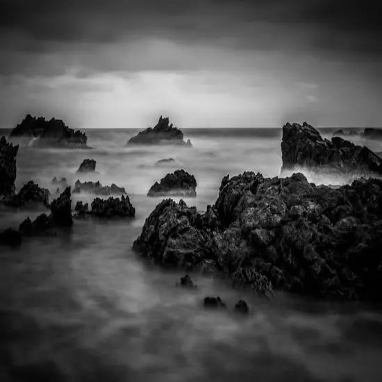 Black Sea Fragrance Oil (Our Version of the Brand Name) (16 oz Bottle) for Candle Making, Soap Making, Tart Making, Room Sprays, Lotions, Car Fresheners, Slime, Bath Bombs, Warmers&hellip; {2}