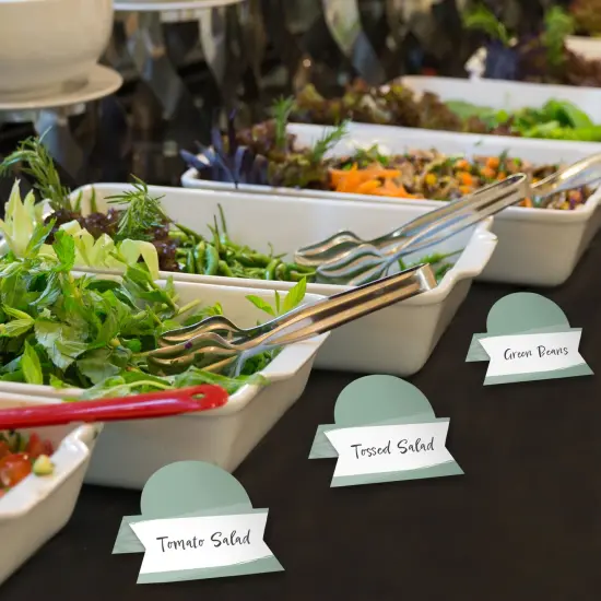 Big Dot of Happiness Sage Green Elegantly Simple - Guest Party Favors Tent Buffet Card - Table Setting Name Place Cards - Set of 24 {4}