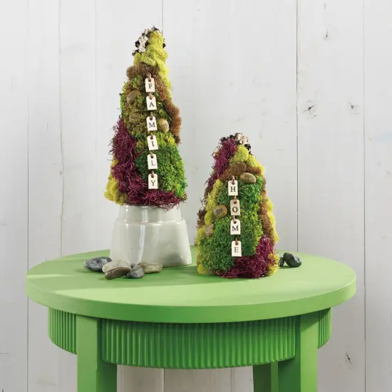 FloraCraft Floral Desert DryFoM Cone-3.7"X8.9" {4}