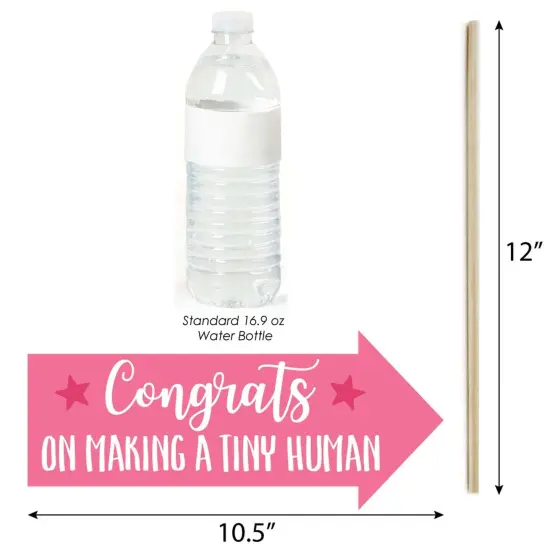 Big Dot of Happiness Funny It's a Girl - Pink Baby Shower Photo Booth Props Kit - 10 Piece {4}