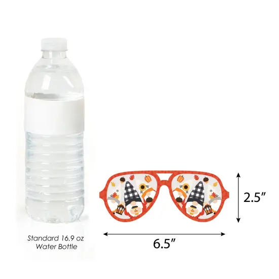 Big Dot of Happiness Fall Gnomes Glasses - Paper Card Stock Autumn Harvest Party Photo Booth Props Kit - 10 Count {6}