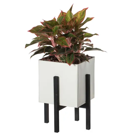 Indoor and Outdoor White Iron Planting Box with Black Wooden Frame {1}