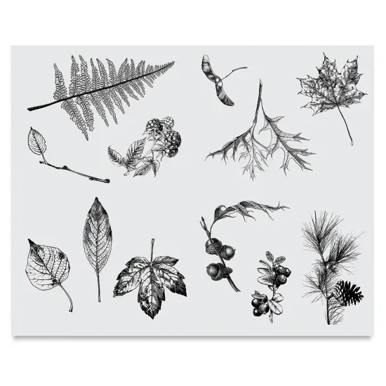 Mayco Designer Silkscreens - Leaves {2}